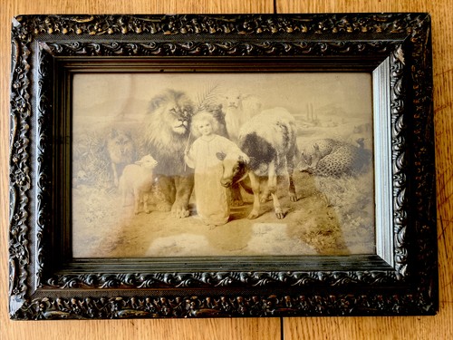 Antique 1896 sepia - 1896,