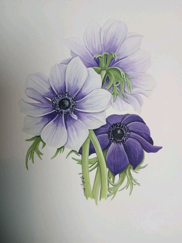 Framed original watercolour - framed,
