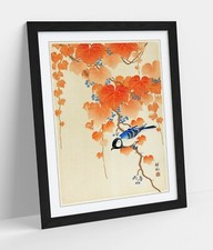 AUTUMN LEAVES & BLUE JAY BIRD