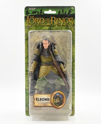 Lord the rings fellowship - of,