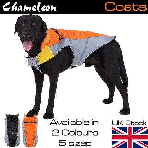 Dog coat jacket - dog,