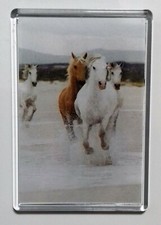 Extra large fridge magnet - fridge, ❤