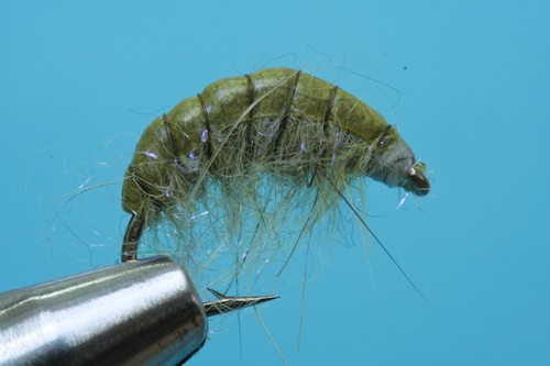 Fliegentom nymph pieces scud - nymph,