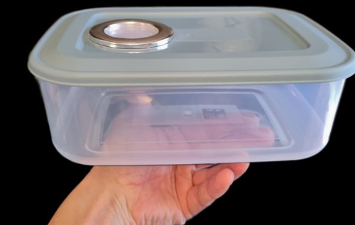 Isopod colony starter - colony,