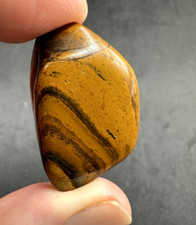 Tiger Iron Palm Stone