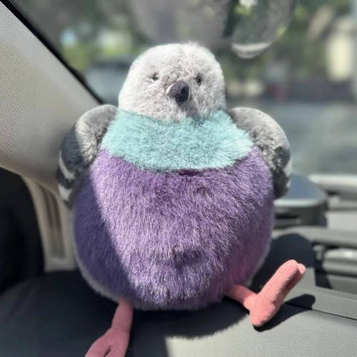 23cm parrot fat pigeon - pigeon,