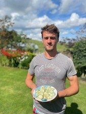 500g British Elephant Garlic, Approx 20  Cloves, Mixed Clove Sizes