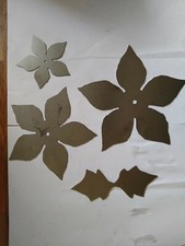 Blacksmith poinsettia flower