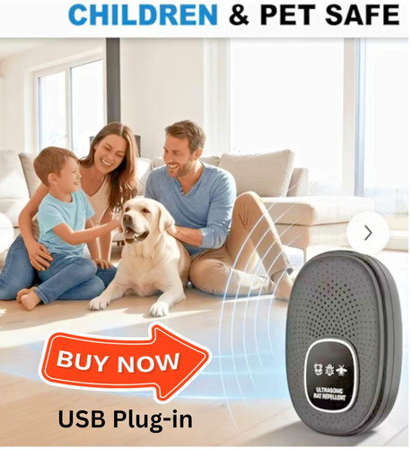Usb plug in ultrasonic - x,