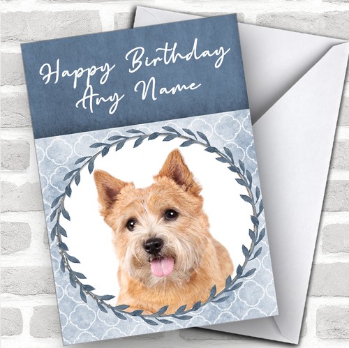 Norwich terrier dog blue - terrier,