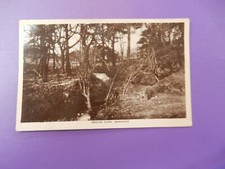 VINTAGE POSTCARD GROUSIE