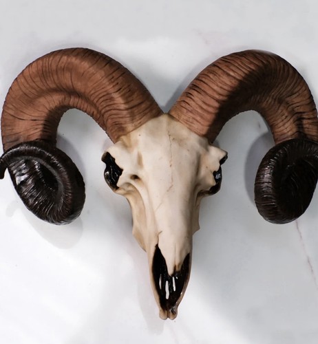 Ram head wall - head,