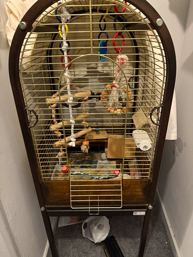 Tall arched top bird cage - cage, with