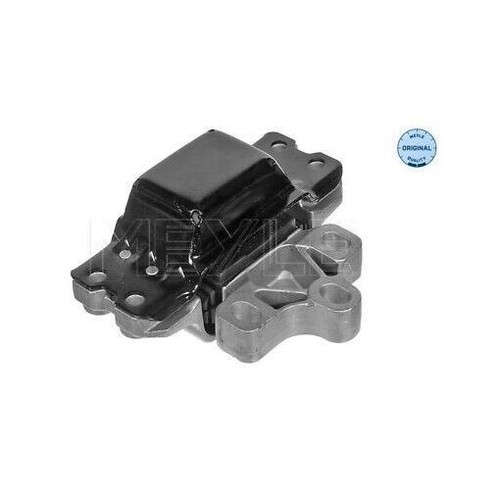 Meyle 100 199 1095 - 1095, engine