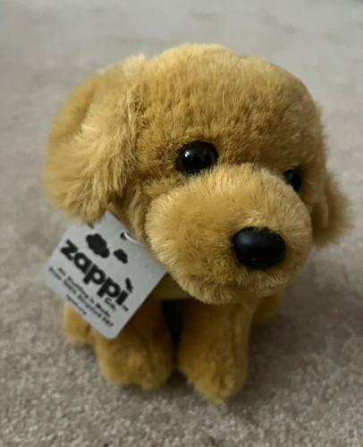 Zappi golden retriever - zappi, dog