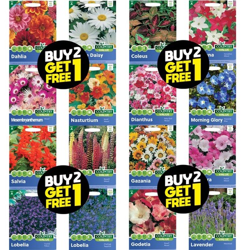 Flower seeds delphinium - seeds,