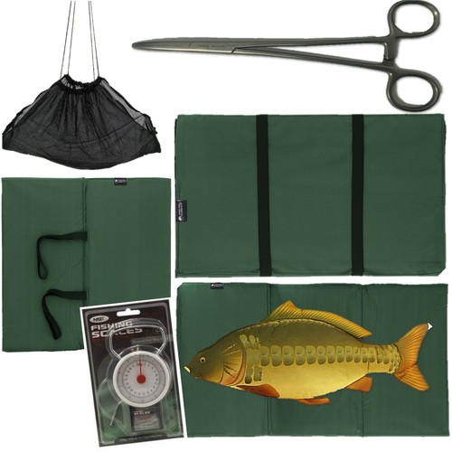 Carp fishing unhooking landing - carp,