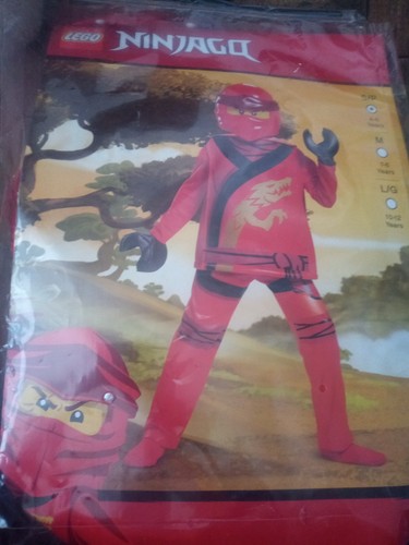 Lego ninjago costume years - lego, 4-6