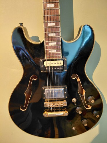 Aria pro 60 electric - ii,
