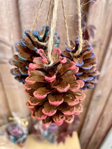 Multicolour pinecone - 12,