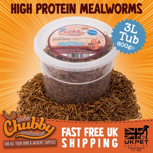 Dried mealworms wild - dried, food