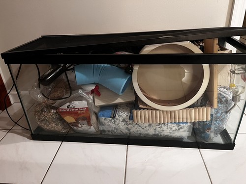 Hamster cage and - hamster, accessories