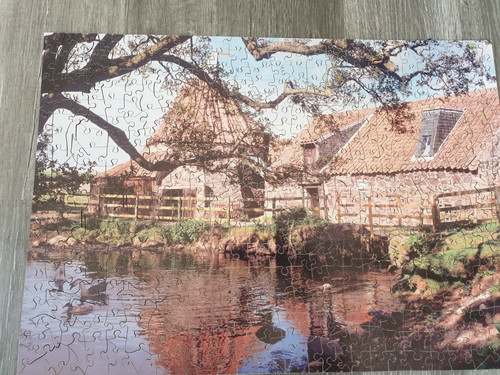 Wentworth wooden 500 pieces - wooden,