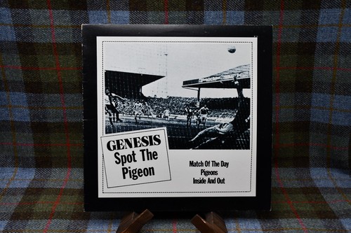Spot the pigeon - spot, genesis