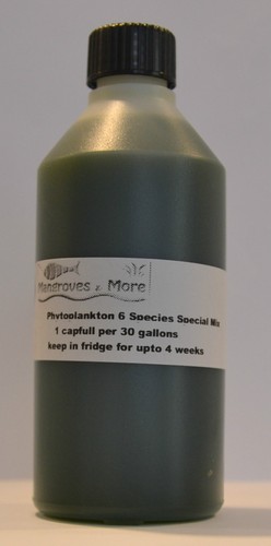Live marine phytoplankton - live, 6