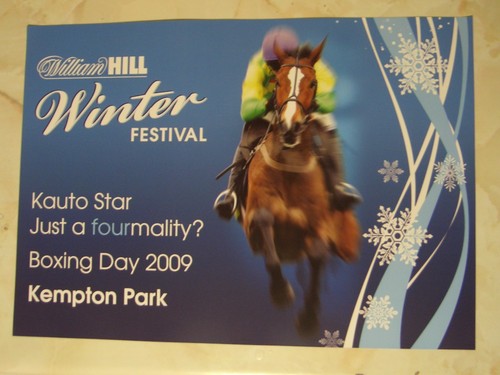 Kauto star horse - kauto,