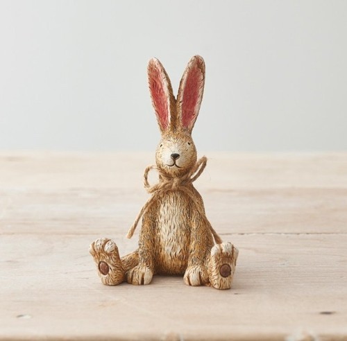 Jasper rabbit sitting down - rabbit,