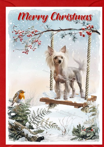 Chinese crested dog - (4", x