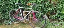 Road bicycle Dynatech 700/Raleigh Retro/vintage 53cm