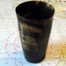 Old Fox Hunting Cow Horn