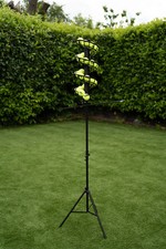 Feed Buddy Tennis Ace Drop