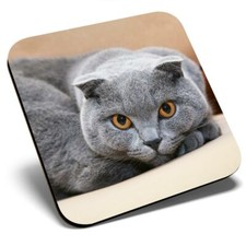 Square Single Coaster - Blue