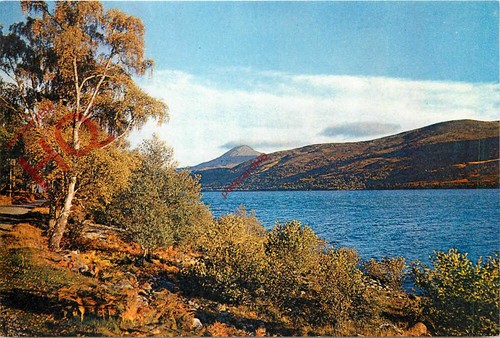 Picture postcard loch - picture, postcard::loch