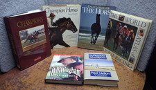 6 Horse And Racing Related