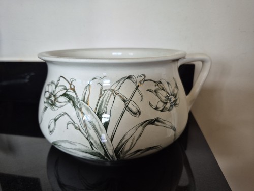 Vintage wedgewood narcissus - vintage,