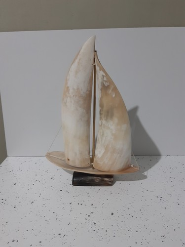 Vintage horn sailing - sailing, boat