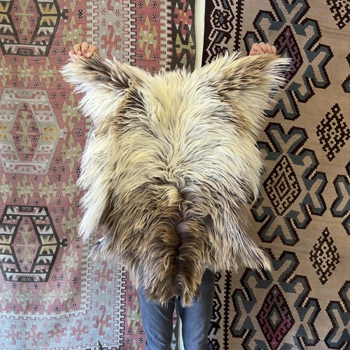 Natural angora goat skin - angora, rug