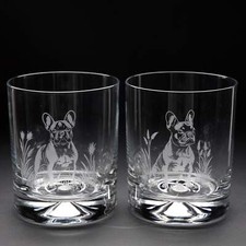 French Bulldog Dog Whiskey