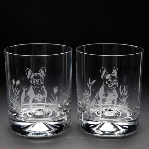 French bulldog dog - dog, whiskey