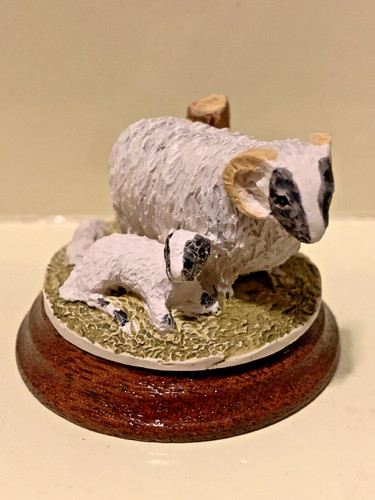 Sheep and lamb - lamb, mc14