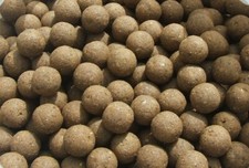 Blue cheese shelflife fishmeal - blue,