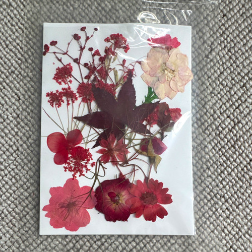 Mixed pressed dried flowers - mixed,