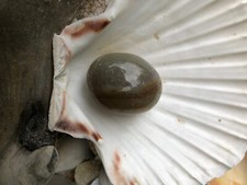 Agate Egg x 1  Reiki Chakra +