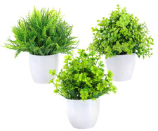 Artificial Plants in pots