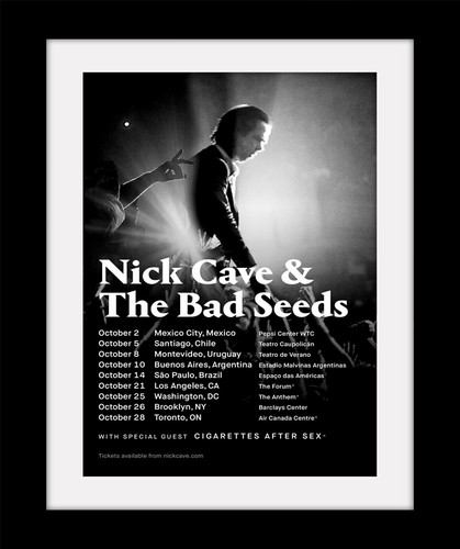 Nick cave the bad seeds - the,
