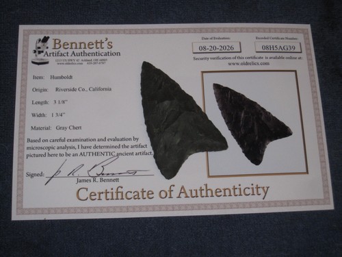 Humbolt point arrowhead - humbolt,